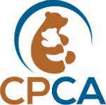 Impressionistic drawing of large brown bear hugging a small white baby bear: logo of Center for the Prevention of Child Abuse.